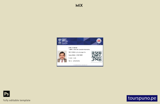 listo para imprimir Plantilla de tarjeta de identificación sanitaria de la autor